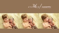 Everleaf Photography   Maternity and Newborn Portraiture 1076642 Image 0